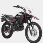 Shineray thor 200